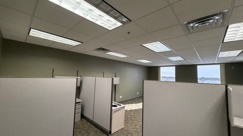 Gallery image 13