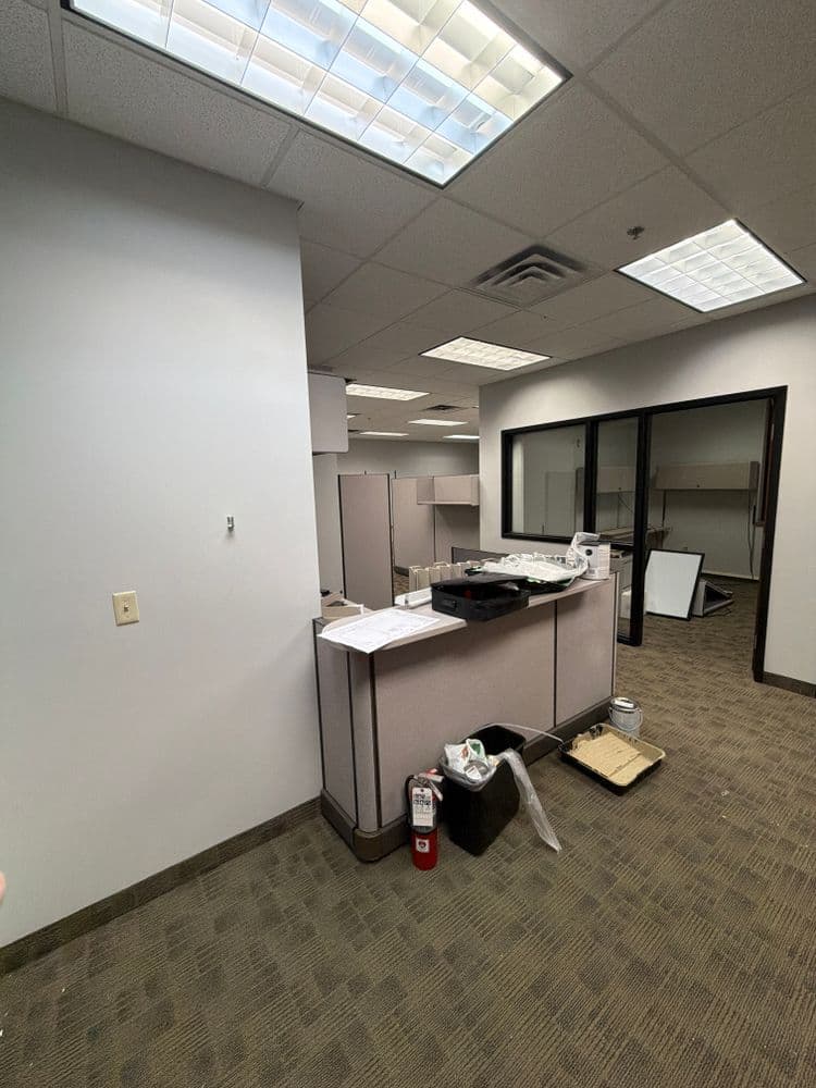 Gallery image 10