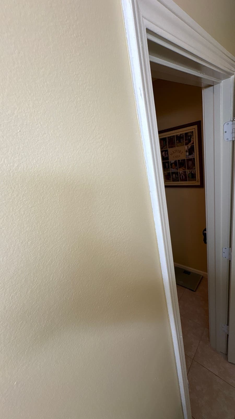 Condo Interior Renewal